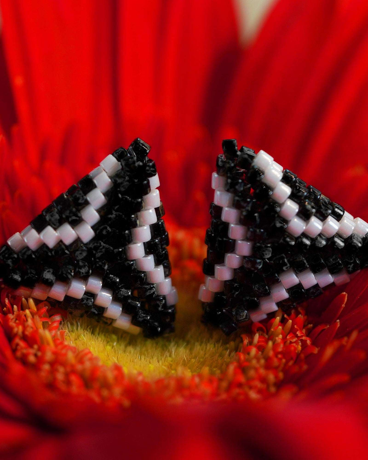 Dilwale Stud Earrings - Jenni and Janki