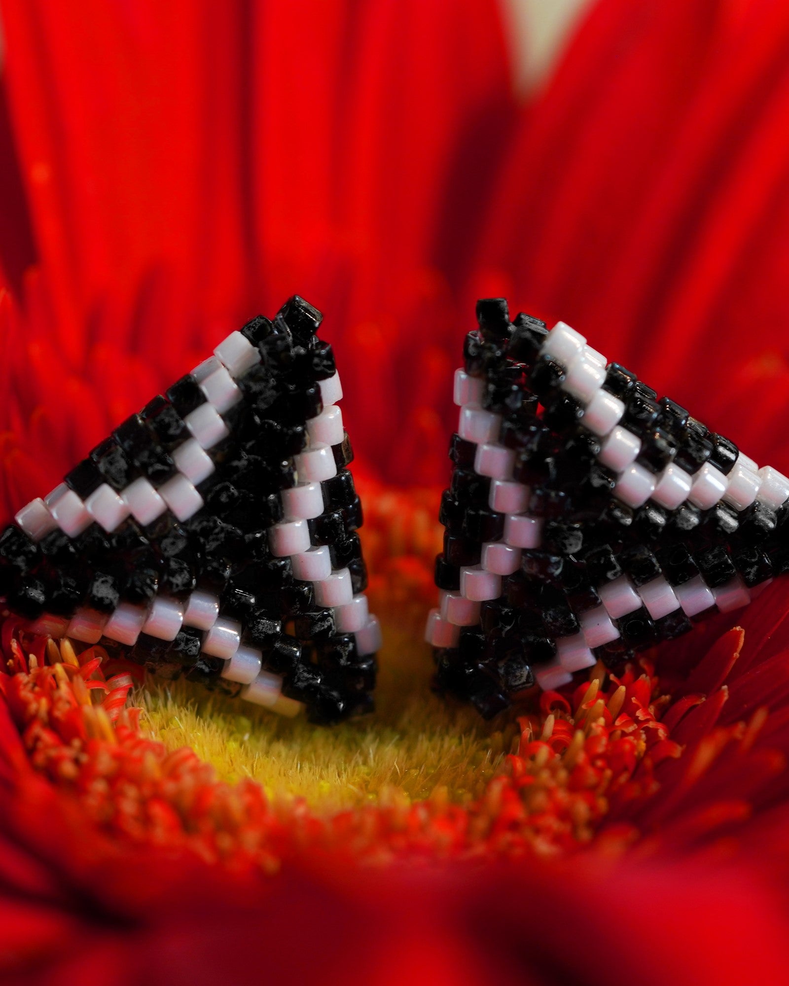 Dilwale Stud Earrings - Jenni and Janki