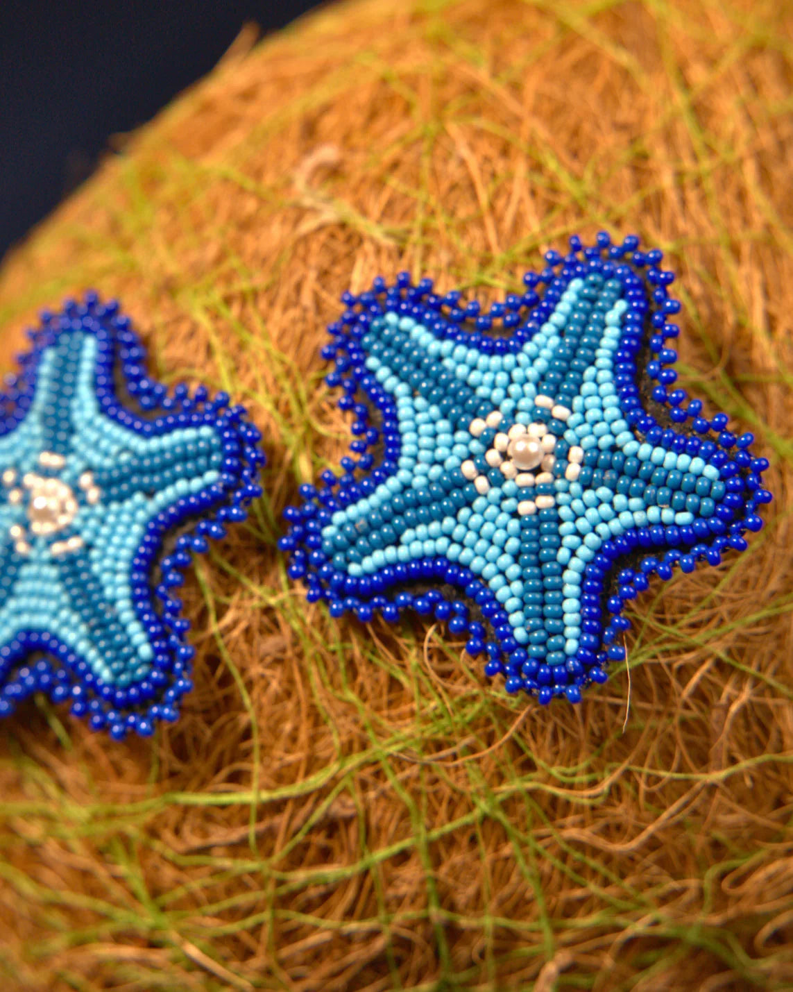 Star Machhli Earrings - Jenni and Janki